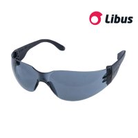 Anteojo Libus modelo ecoline ultraliviano color gris
